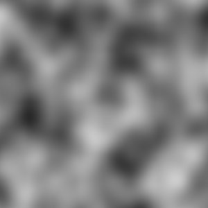 Anwendungsbeispiel für das Filter Plastisches Rauschen